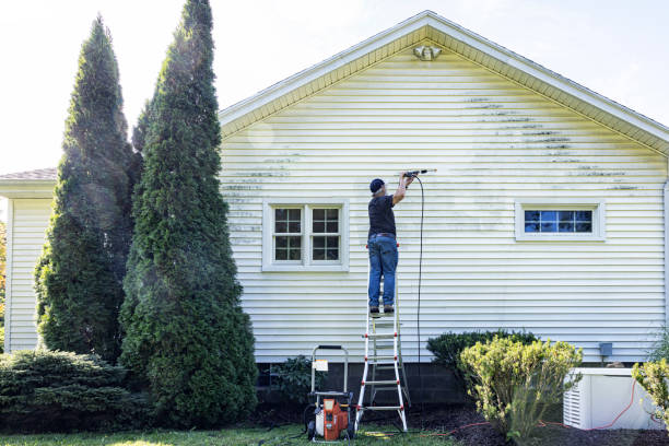 Best Building Exterior Washing  in Hayden, AL