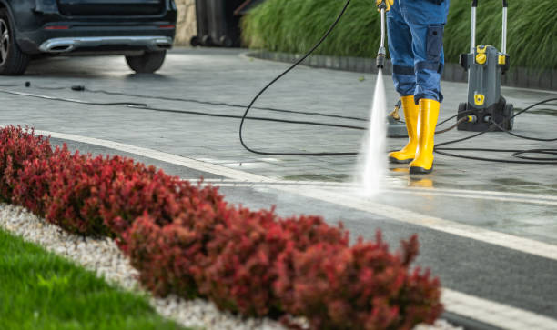 Best Sidewalk and Walkway Cleaning  in Hayden, AL